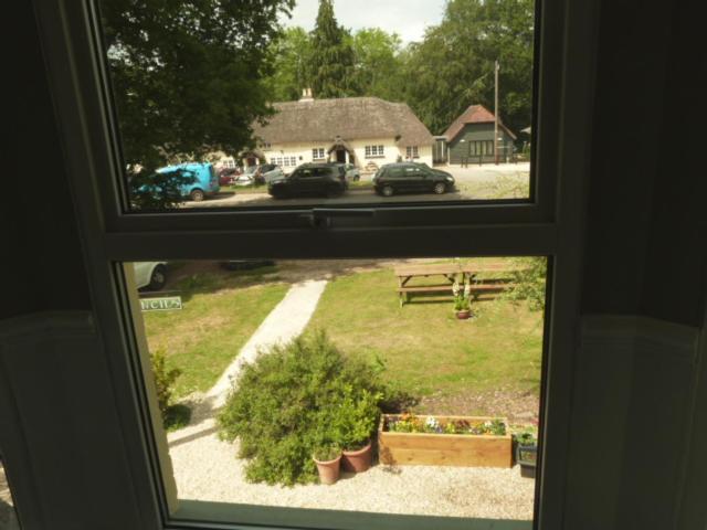 Twin Oaks Guest House Cadnam Kültér fotó